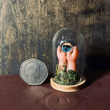 Load image into Gallery viewer, Image showing miniature oddity. A glass dome with wooden base encloses a sculture of plastid doll hands holding up a blinking doll eye. There is moss coming up from the base. The dome sits on a dark wood background with a 50p pence piece for size reference, the 50p is about hald the size of the dome.