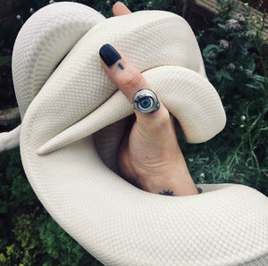 doll eye ring shown being worn on thumb whilst white royal python snake curls around hand