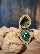 Load image into Gallery viewer, Walnut Diorama, Blinking Eye Walnut Shell