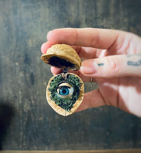Load image into Gallery viewer, Walnut Diorama, Blinking Eye Walnut Shell