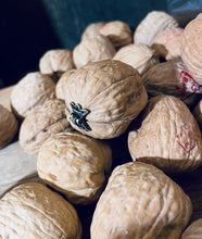 Load image into Gallery viewer, Walnut Diorama, Blinking Eye Walnut Shell
