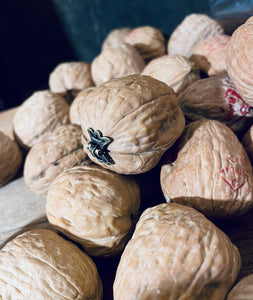 Walnut Diorama, Blinking Eye Walnut Shell