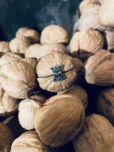 Load image into Gallery viewer, Walnut Diorama, Blinking Eye Walnut Shell