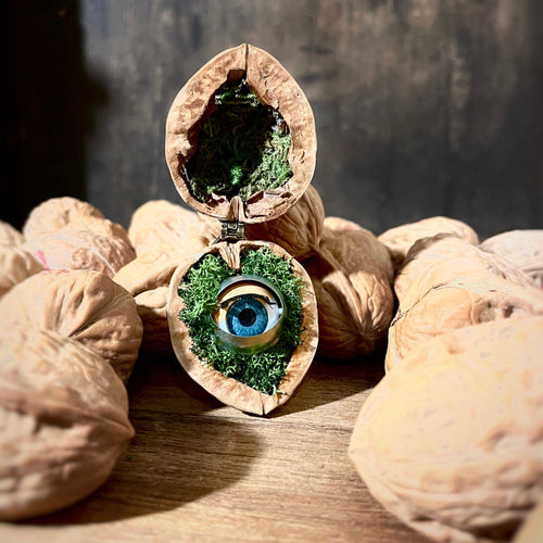 Walnut Diorama, Blinking Eye Walnut Shell