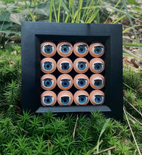 Load image into Gallery viewer, Doll Eye Frame - Original Doll Part Art.