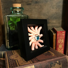 Load image into Gallery viewer, oddity curiosity homeware shadow box art weird and wonderful strange and unusual goth home