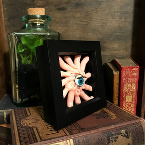 oddity curiosity homeware shadow box art weird and wonderful strange and unusual goth home