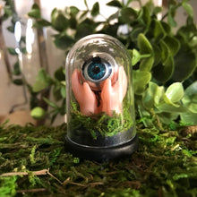 Load image into Gallery viewer, jawline jewellery minature curiosity diorama dome made from blinking doll eye and hands pushing up from the earth, made with real moss. This dome is plastic and comes with a black base 