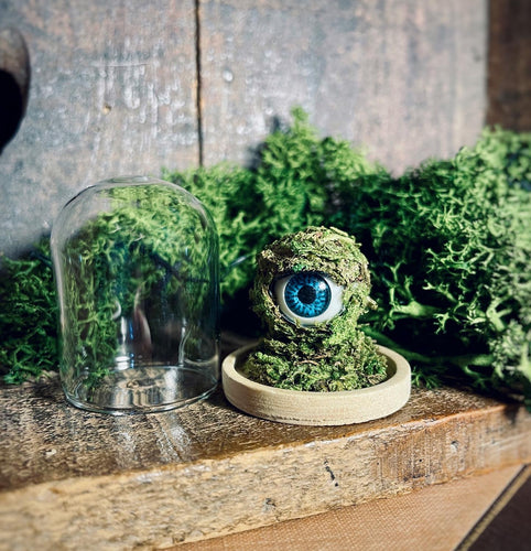 Moss Ball Babies