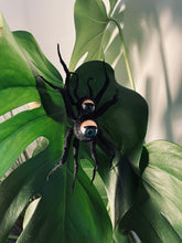 Load image into Gallery viewer, Creepy Spider Creature Sculpture
