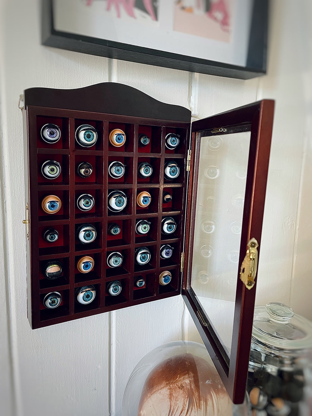 Vintage Display Eyeball Collection- Medium Glass Cabinet