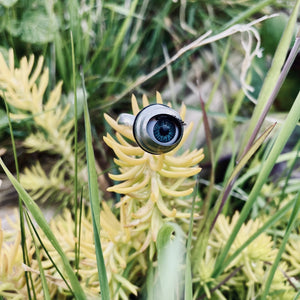 doll eye ring shown balanced on some succulent plants around grass