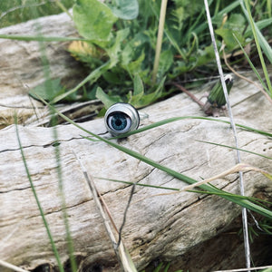 ring sat on tree stump amongst grass